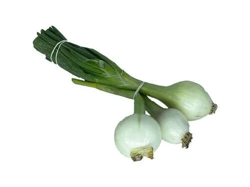 cebola quinta das mélias bio kg produto local