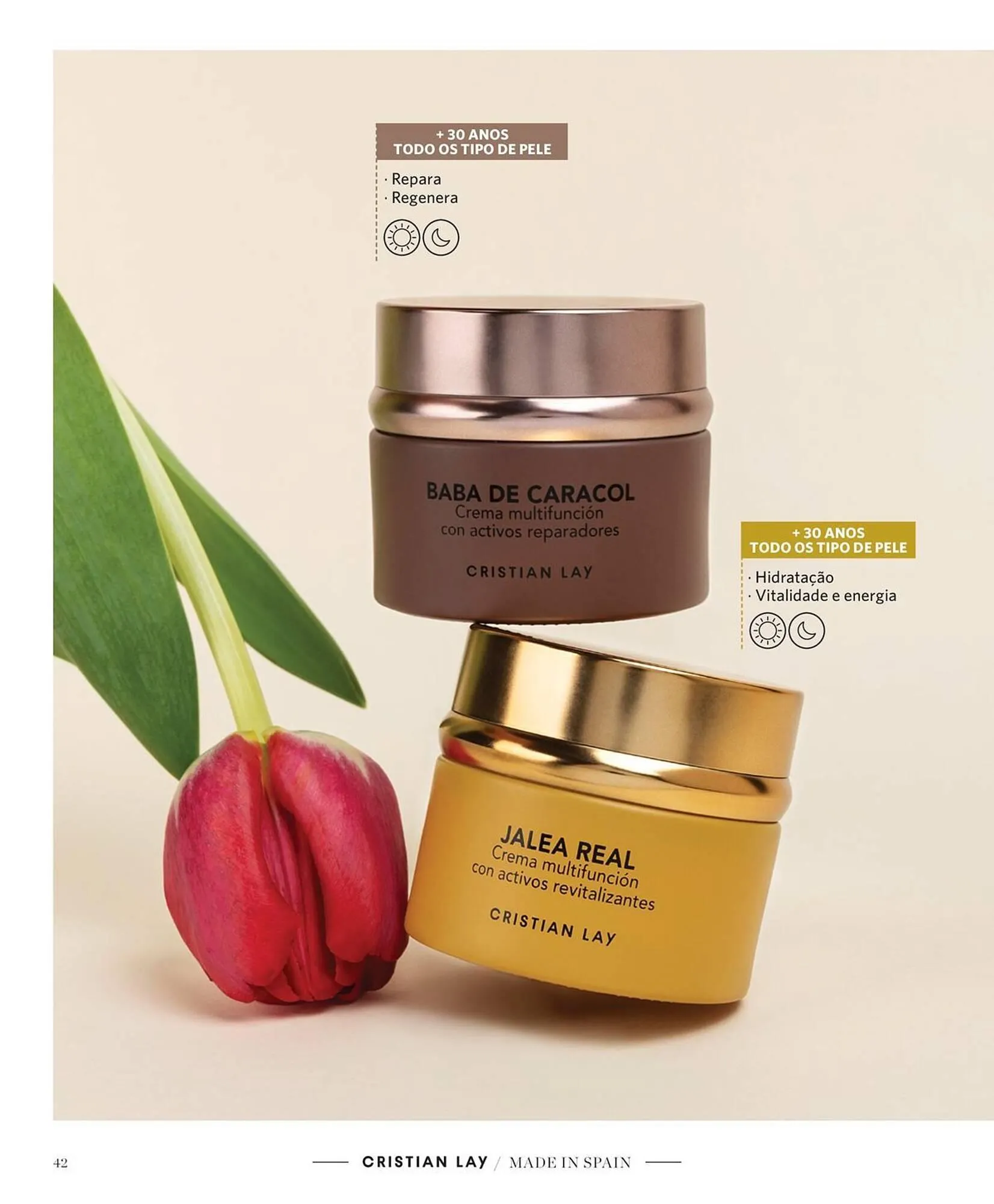 Folheto Catálogo Cristian Lay de 29 de setembro até 19 de outubro 2025 - Pagina 42