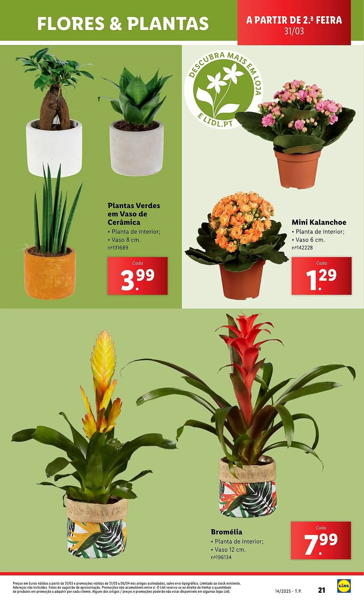 Folheto Folheto Lidl de 31 de março até 6 de abril 2025 - Pagina 21