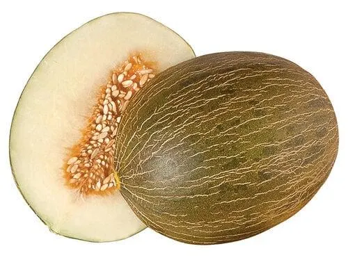 melão pele de sapo auchan cultivamos o bom metade kg