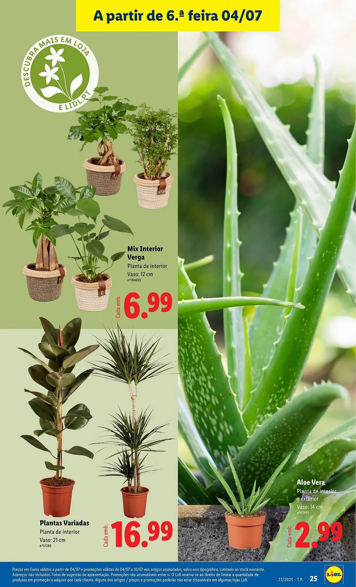 Folheto Folheto Lidl de 30 de junho até 7 de julho 2025 - Pagina 25