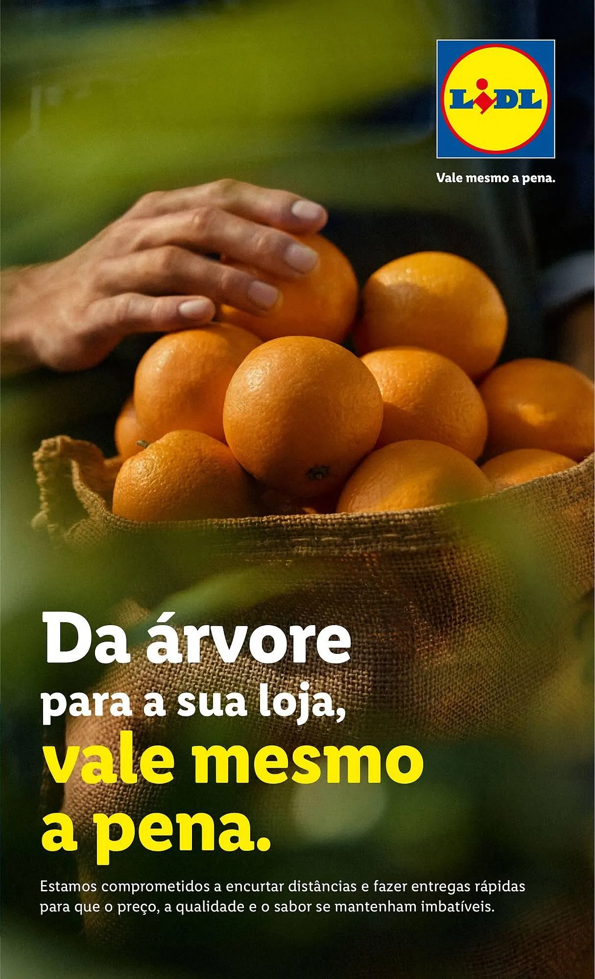 Folheto Folheto Lidl de 6 de outubro até 12 de outubro 2025 - Pagina 3