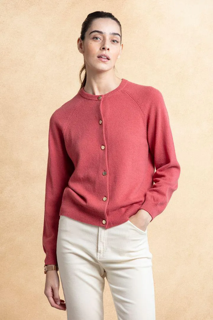 Também poderá gostar