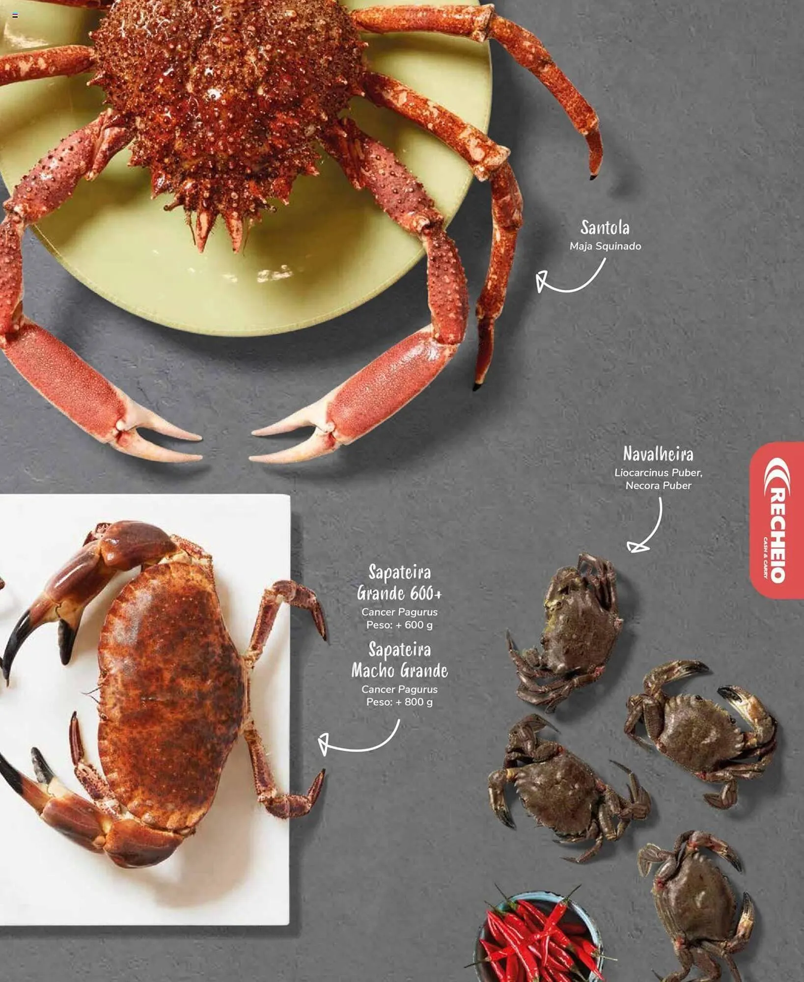 Folheto Folheto Recheio de 19 de setembro até 31 de dezembro 2025 - Pagina 25