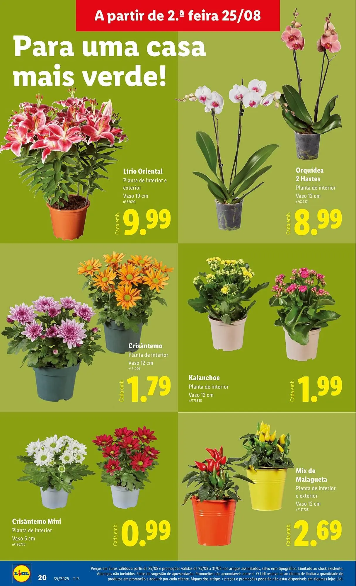 Folheto Folheto Lidl de 25 de agosto até 31 de agosto 2025 - Pagina 20