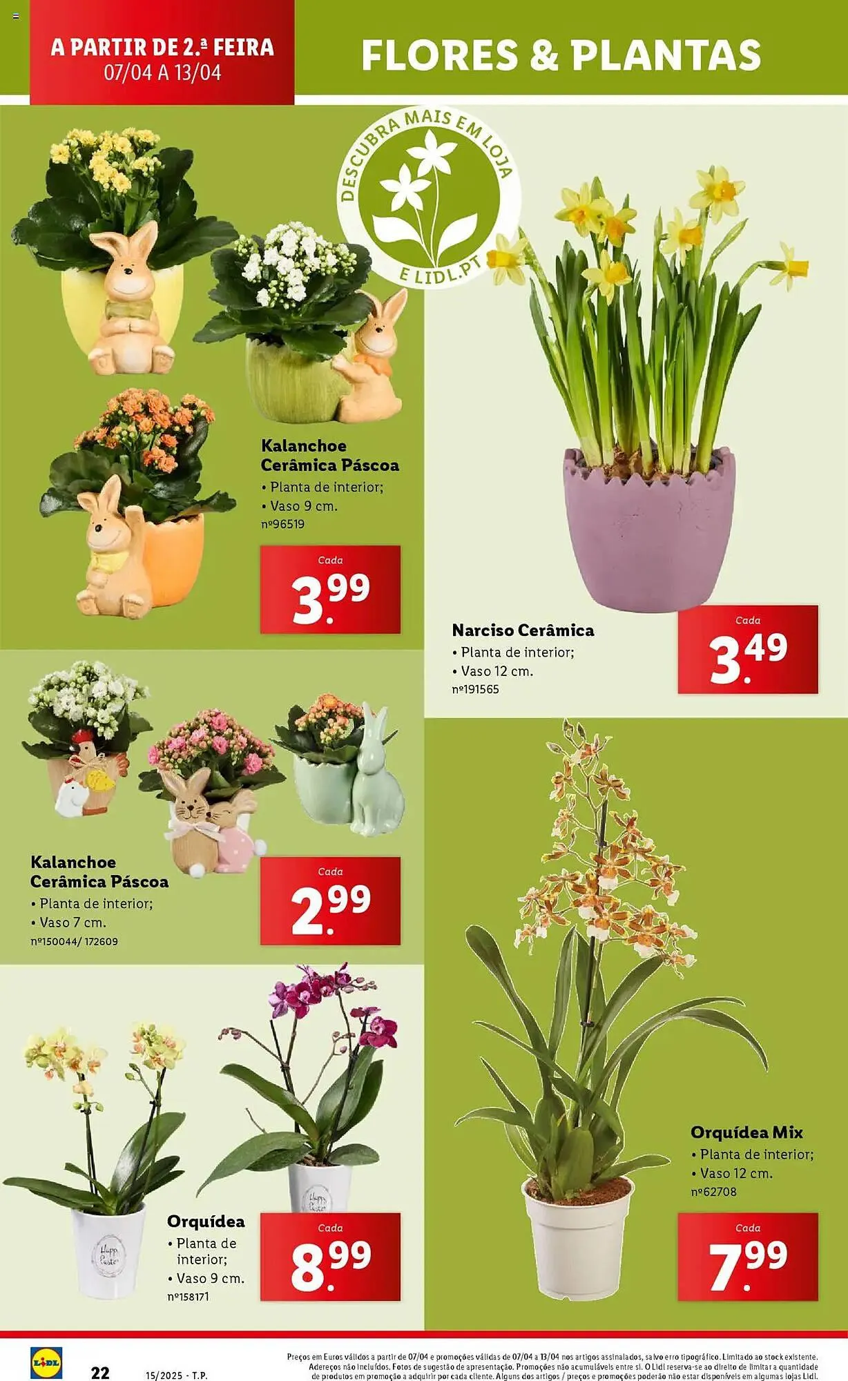 Folheto Folheto Lidl de 7 de abril até 13 de abril 2025 - Pagina 22