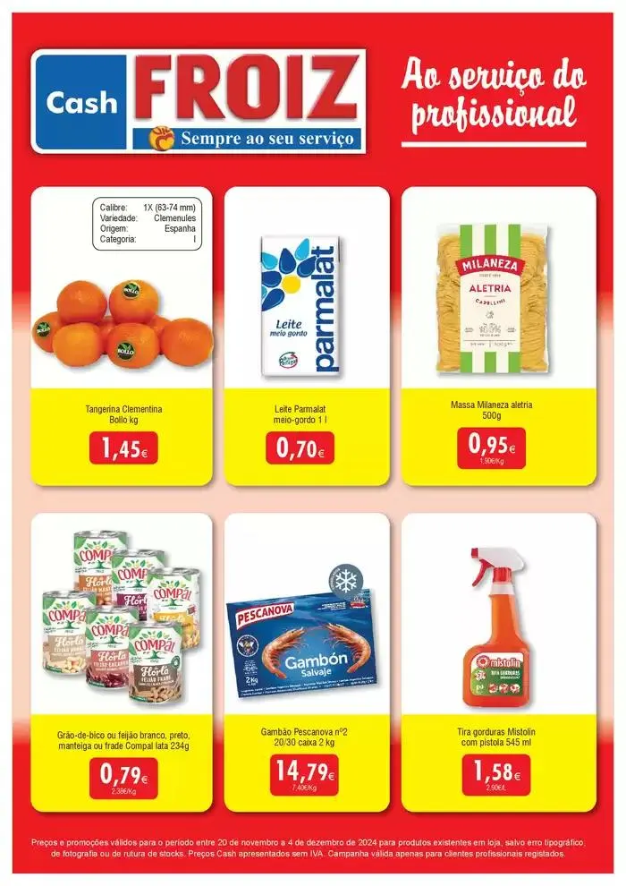 Folheto Cash FROIZ de 21 de novembro até 4 de dezembro 2024 - Pagina 1