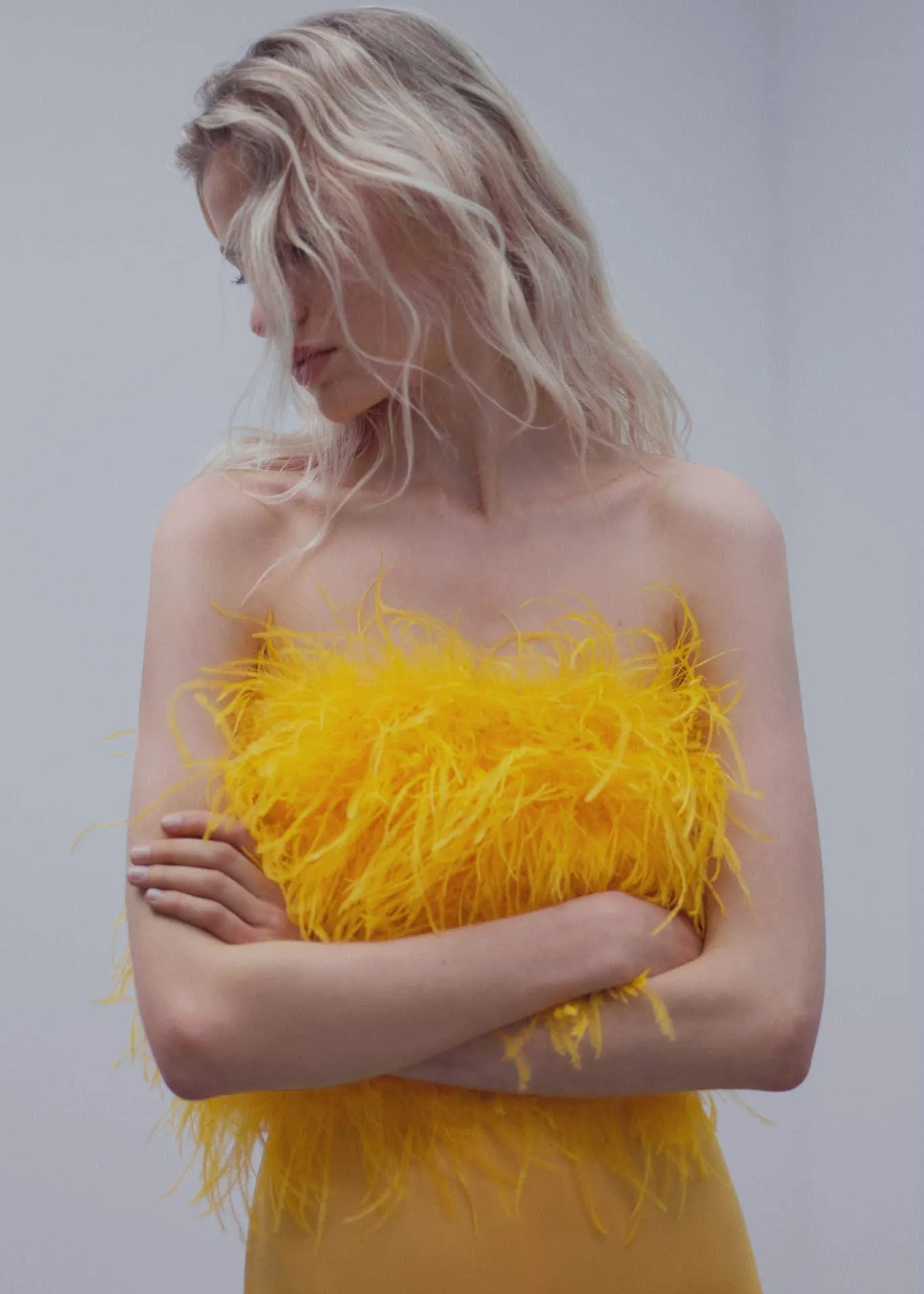 Top stile bandeau piume