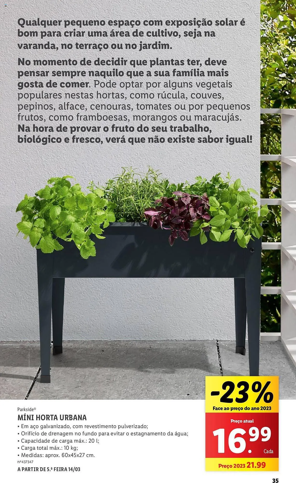 Folheto Folheto Lidl de 4 de março até 31 de março 2024 - Pagina 35