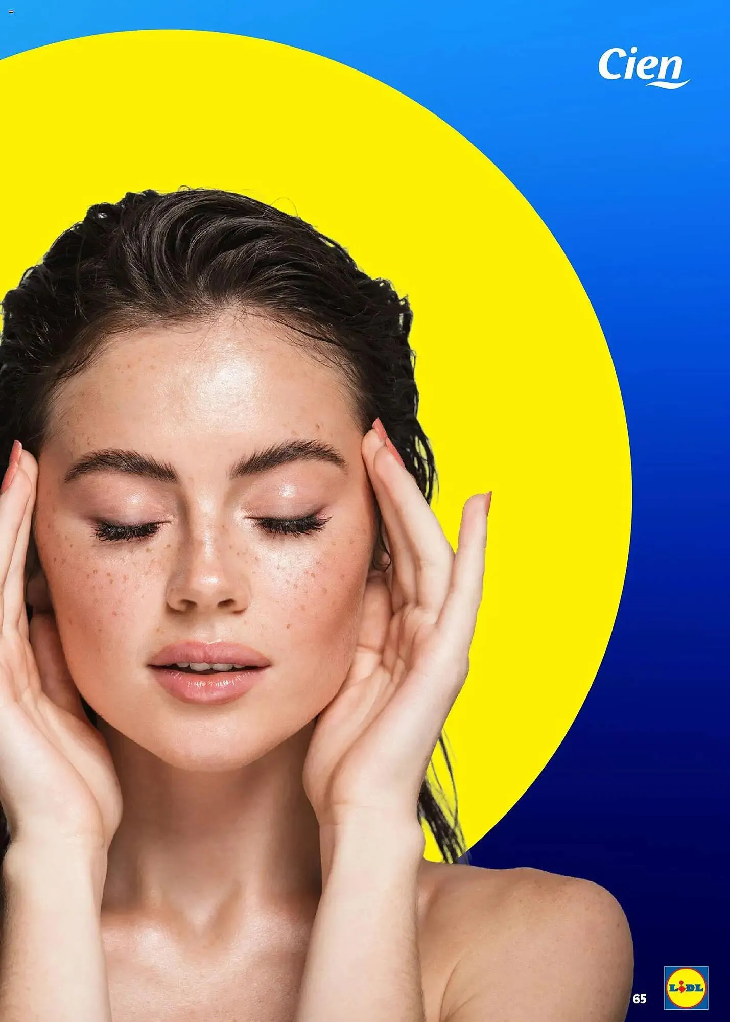 Folheto Folheto Lidl de 16 de março até 1 de janeiro 2027 - Pagina 65