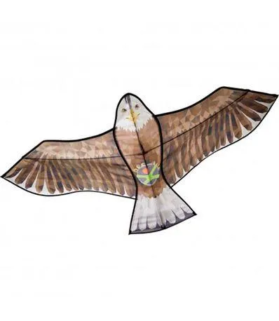 Terra Kids Comet - HABA