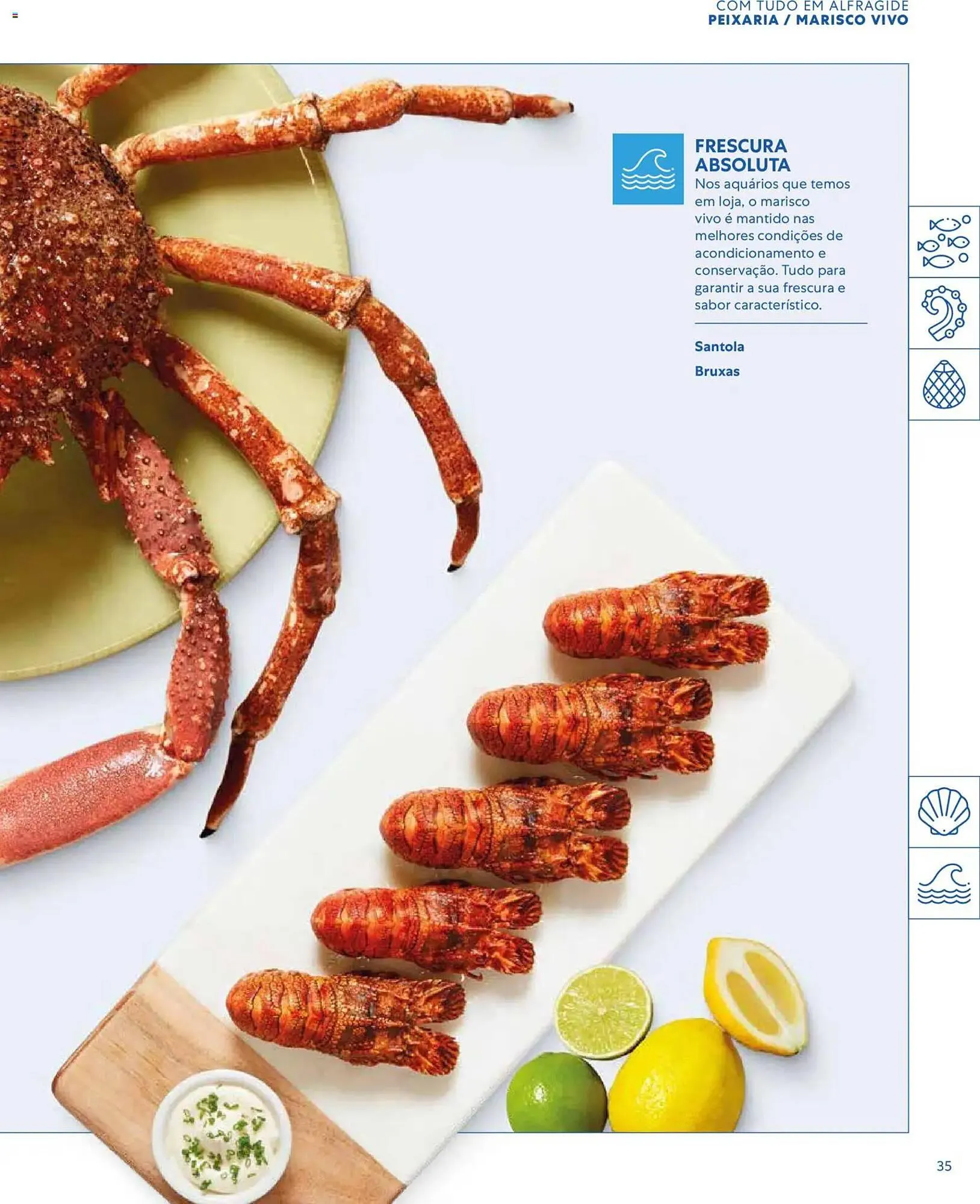 Folheto Folheto Recheio de 16 de março até 1 de janeiro 2027 - Pagina 35