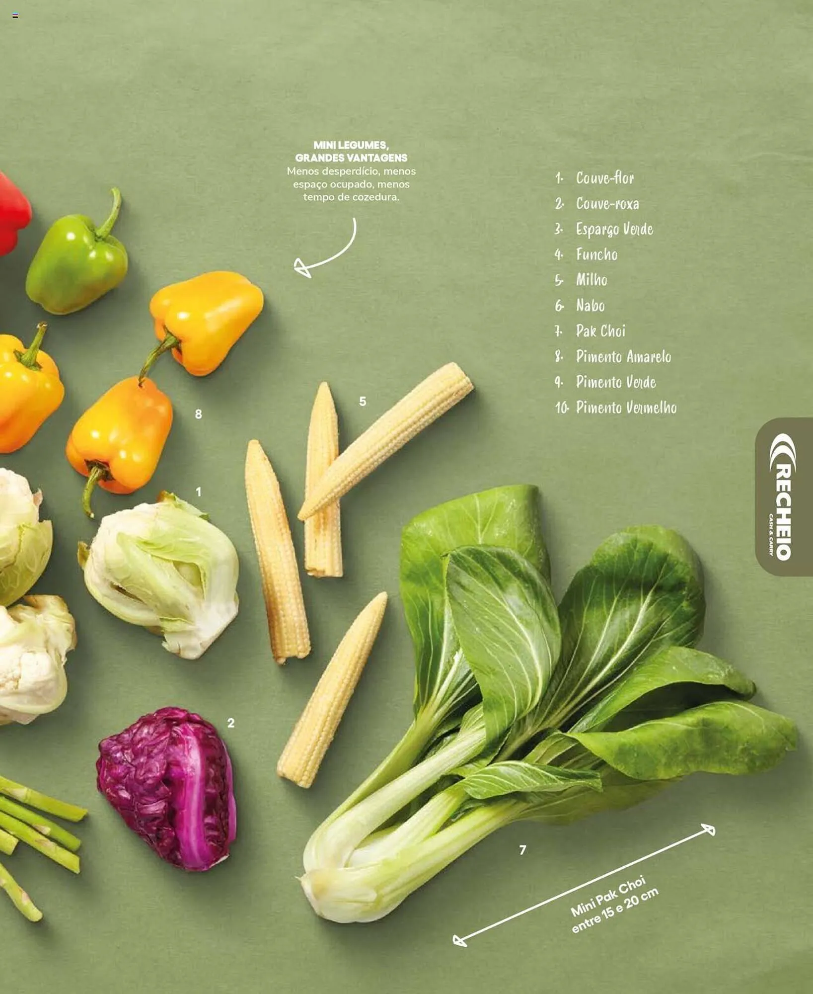 Folheto Folheto Recheio de 19 de setembro até 31 de dezembro 2025 - Pagina 49