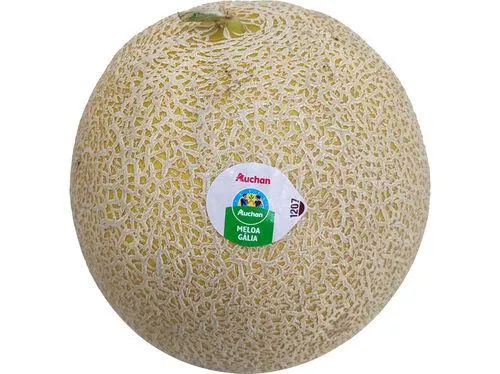 meloa galia auchan cultivamos o bom kg