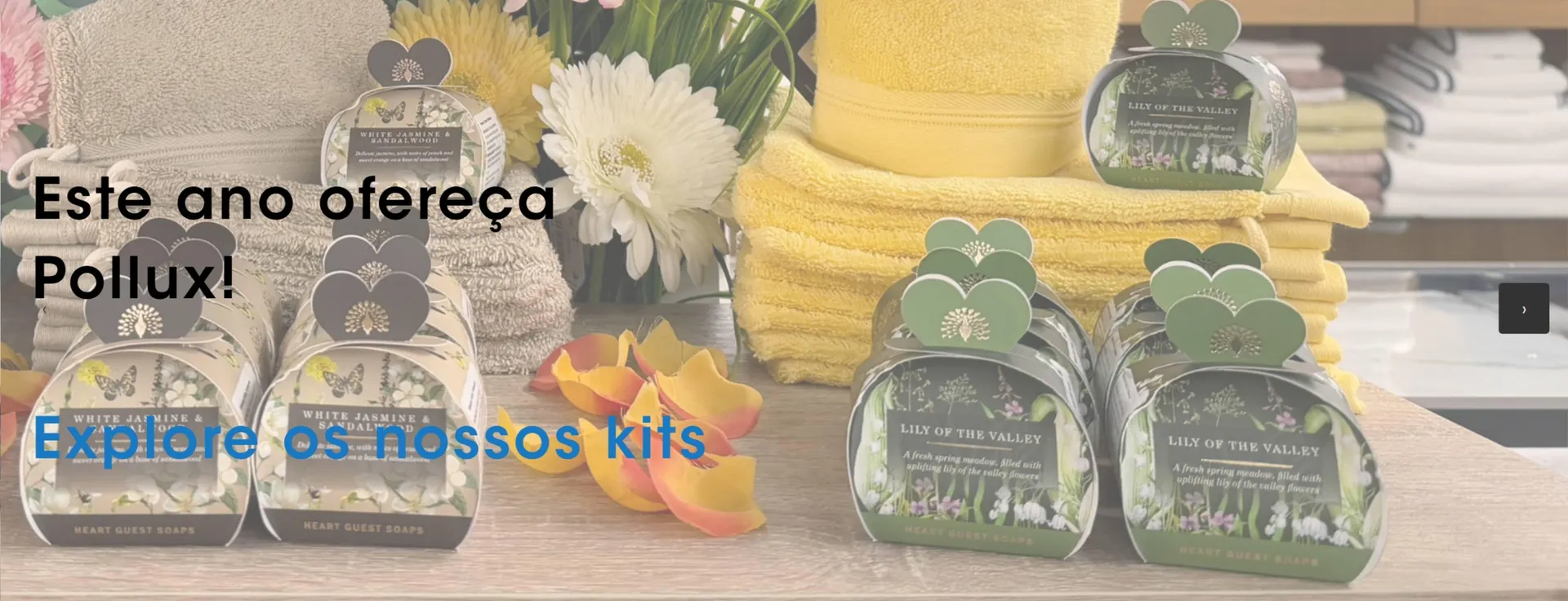 Folheto Folheto Pollux de 5 de março até 18 de março 2025 - Pagina 1