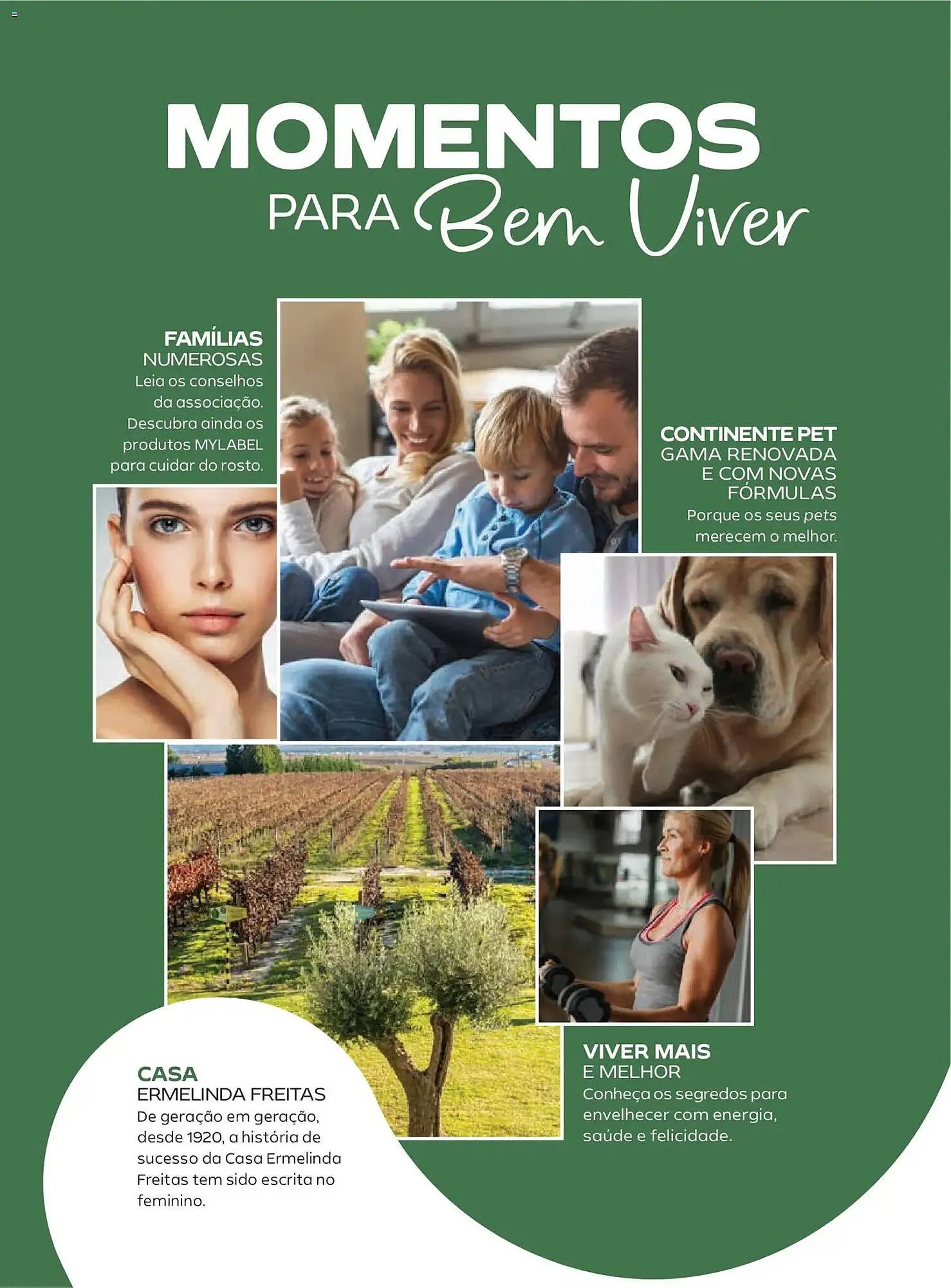 Folheto Folheto Continente de 6 de janeiro até 1 de abril 2026 - Pagina 28