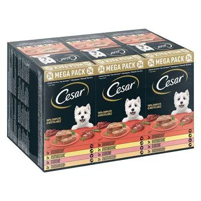 Cesar 48 x 100 g /150 g comida húmida para cães em promoção: 40 + 8 grátis!