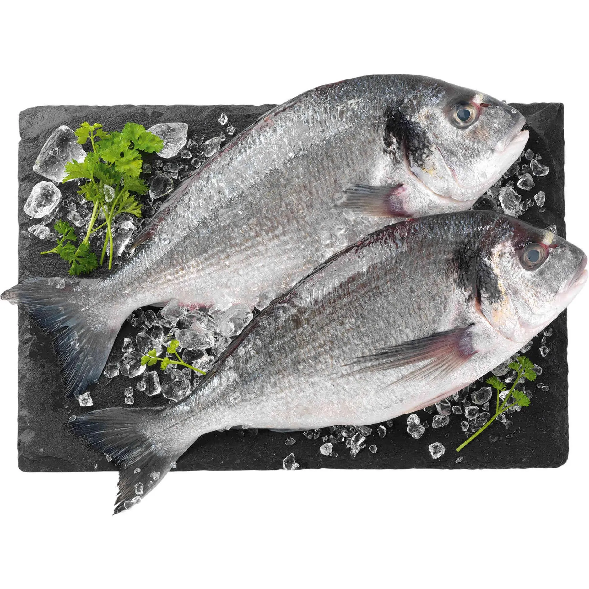 Dourada Grande Fresca