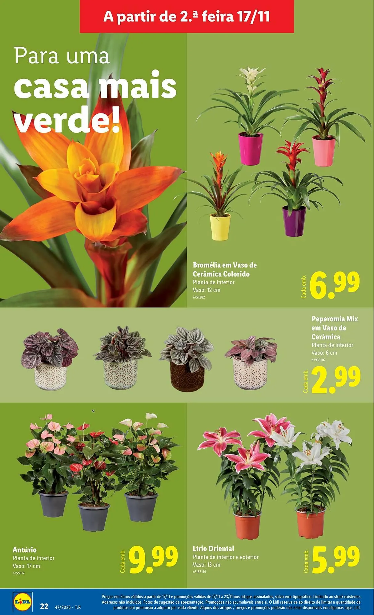 Folheto Folheto Lidl de 17 de novembro até 23 de novembro 2025 - Pagina 22