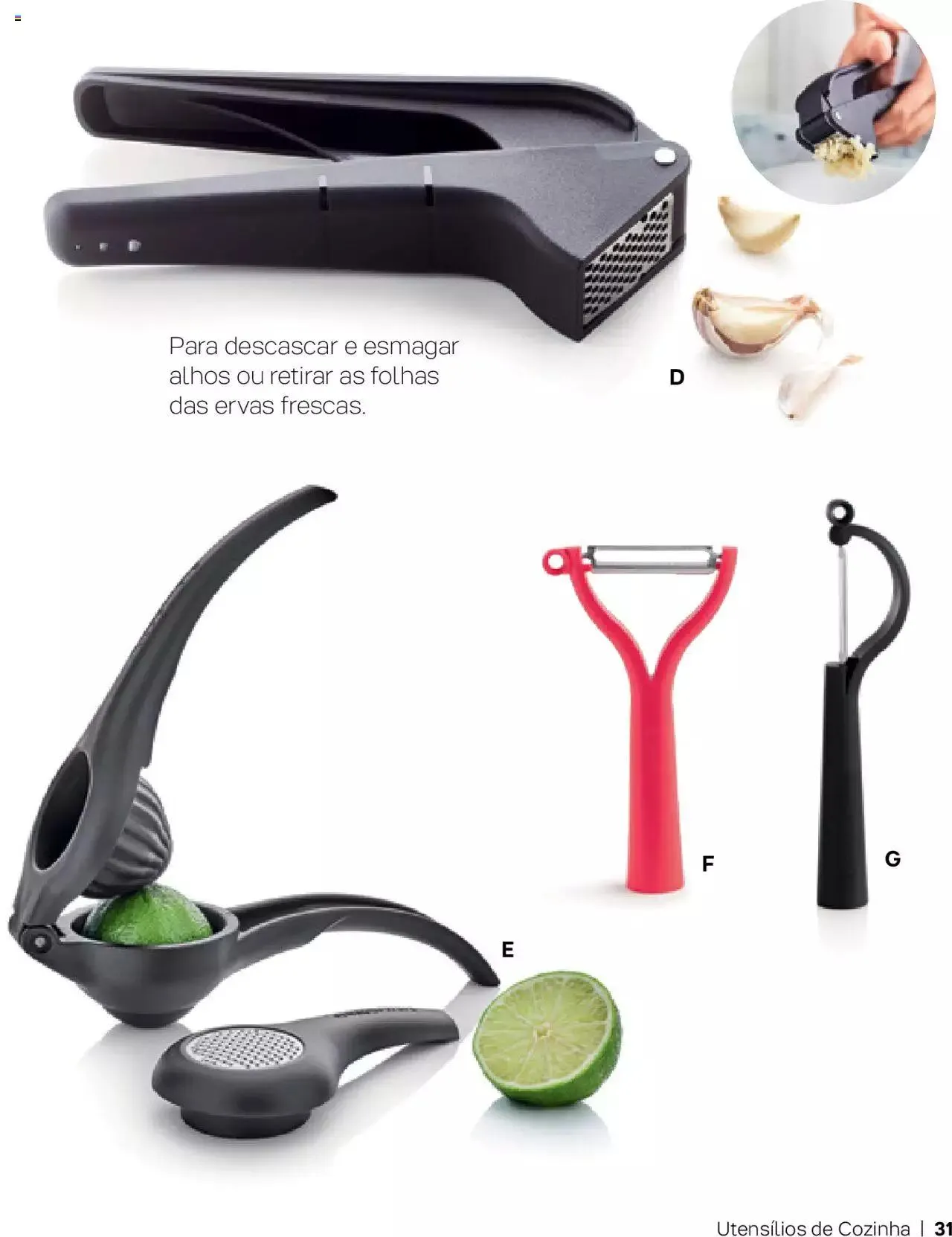 Folheto Tupperware Catálogo de 1 de setembro até 31 de dezembro 2023 - Pagina 31