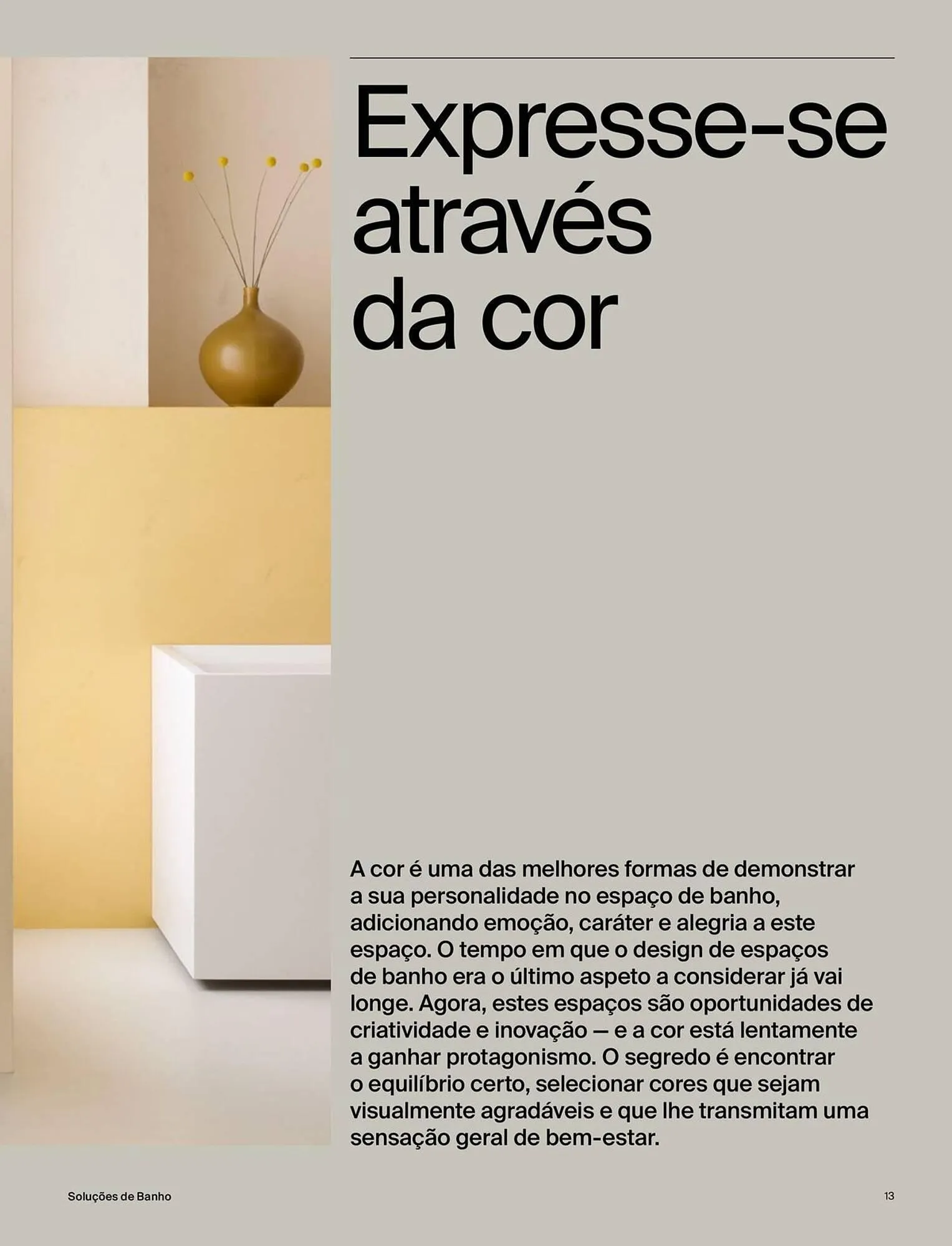 Folheto Folheto Roca de 3 de junho até 31 de dezembro 2025 - Pagina 15