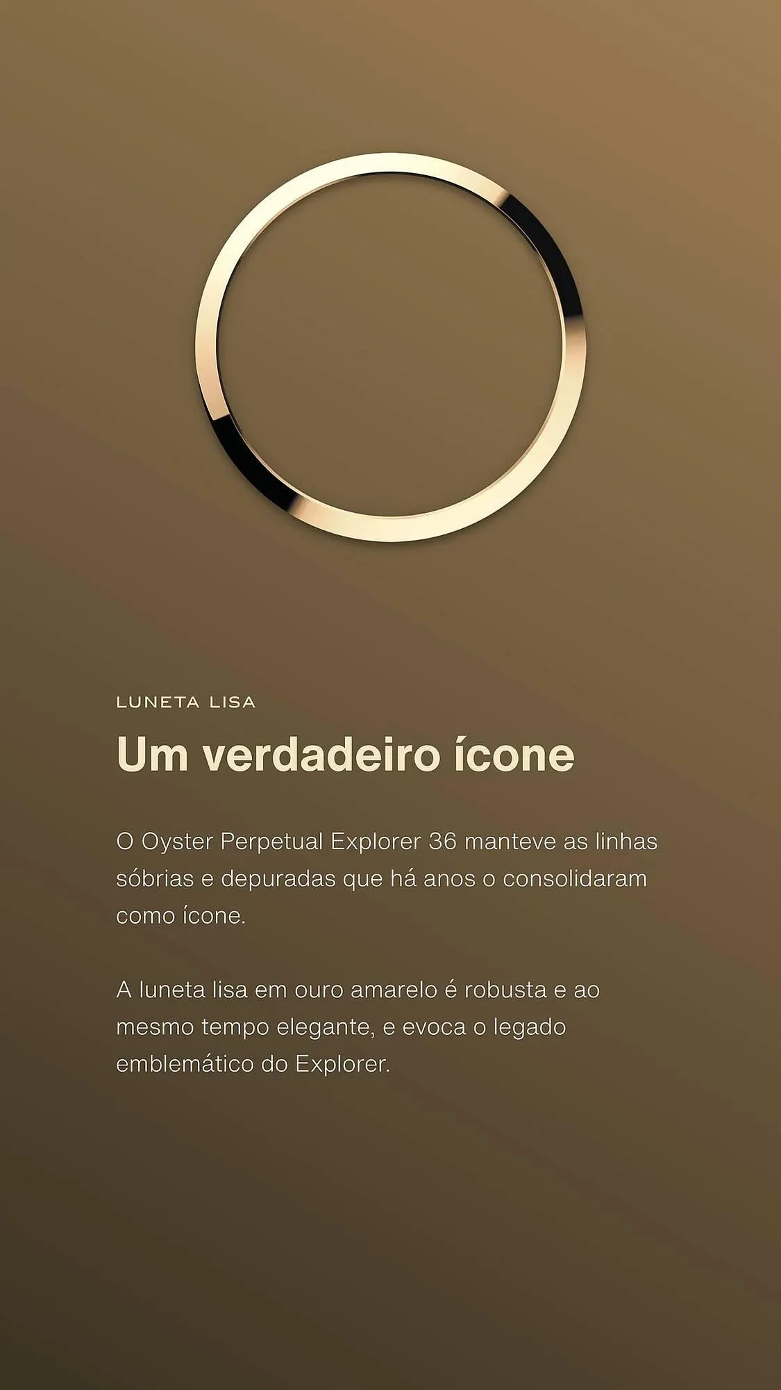 Folheto Folheto Rolex de 7 de fevereiro até 31 de dezembro 2025 - Pagina 5