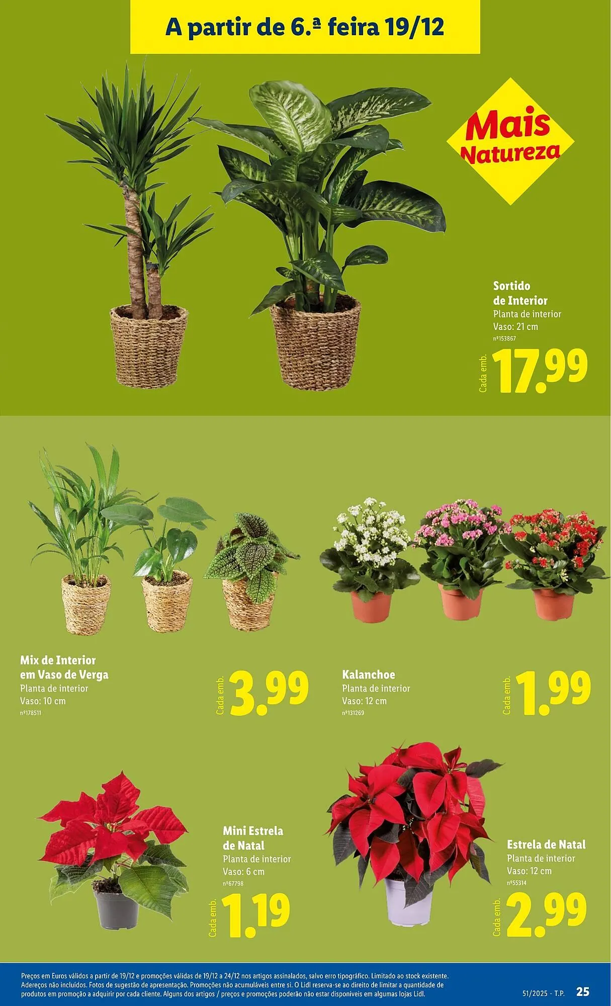 Folheto Folheto Lidl de 15 de dezembro até 21 de dezembro 2025 - Pagina 25