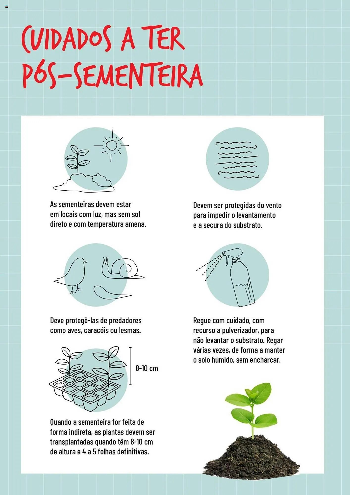 Folheto Folheto Bricomarché Sementeiras de 17 de janeiro até 31 de dezembro 2024 - Pagina 6