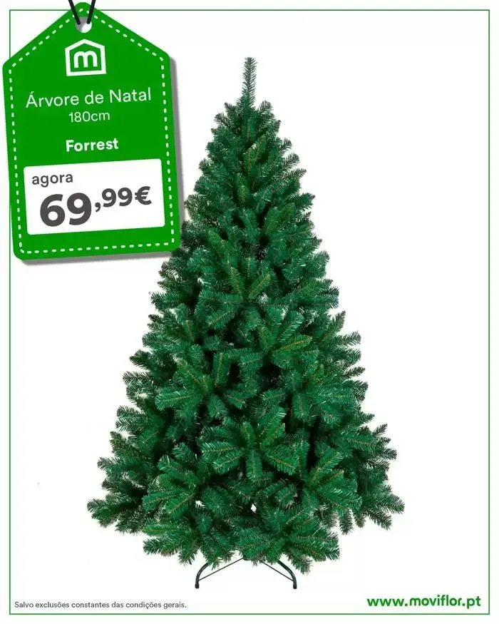 Ampla seleção de ofertas - 1