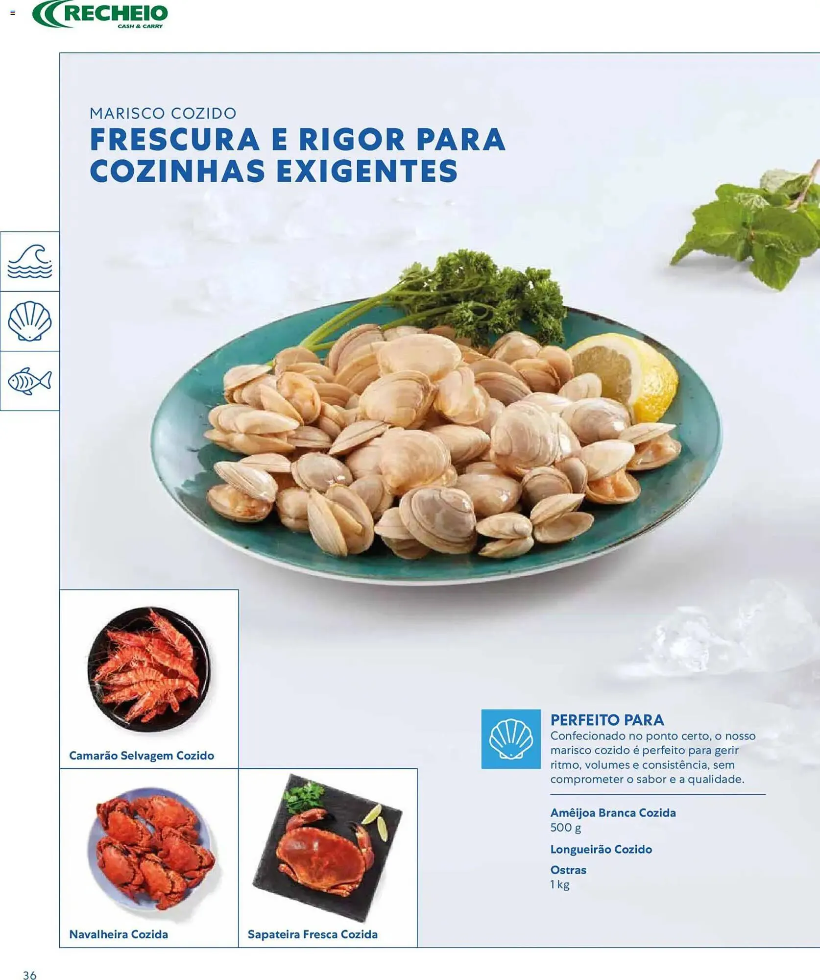 Folheto Folheto Recheio de 16 de março até 1 de janeiro 2027 - Pagina 36