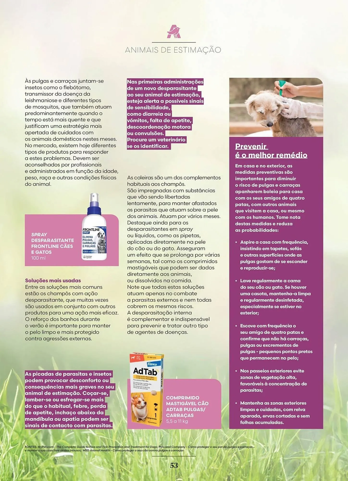 Folheto Folheto Auchan de 2 de junho até 30 de junho 2025 - Pagina 53