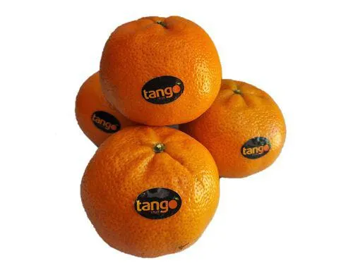 clementina tango sem sementes kg