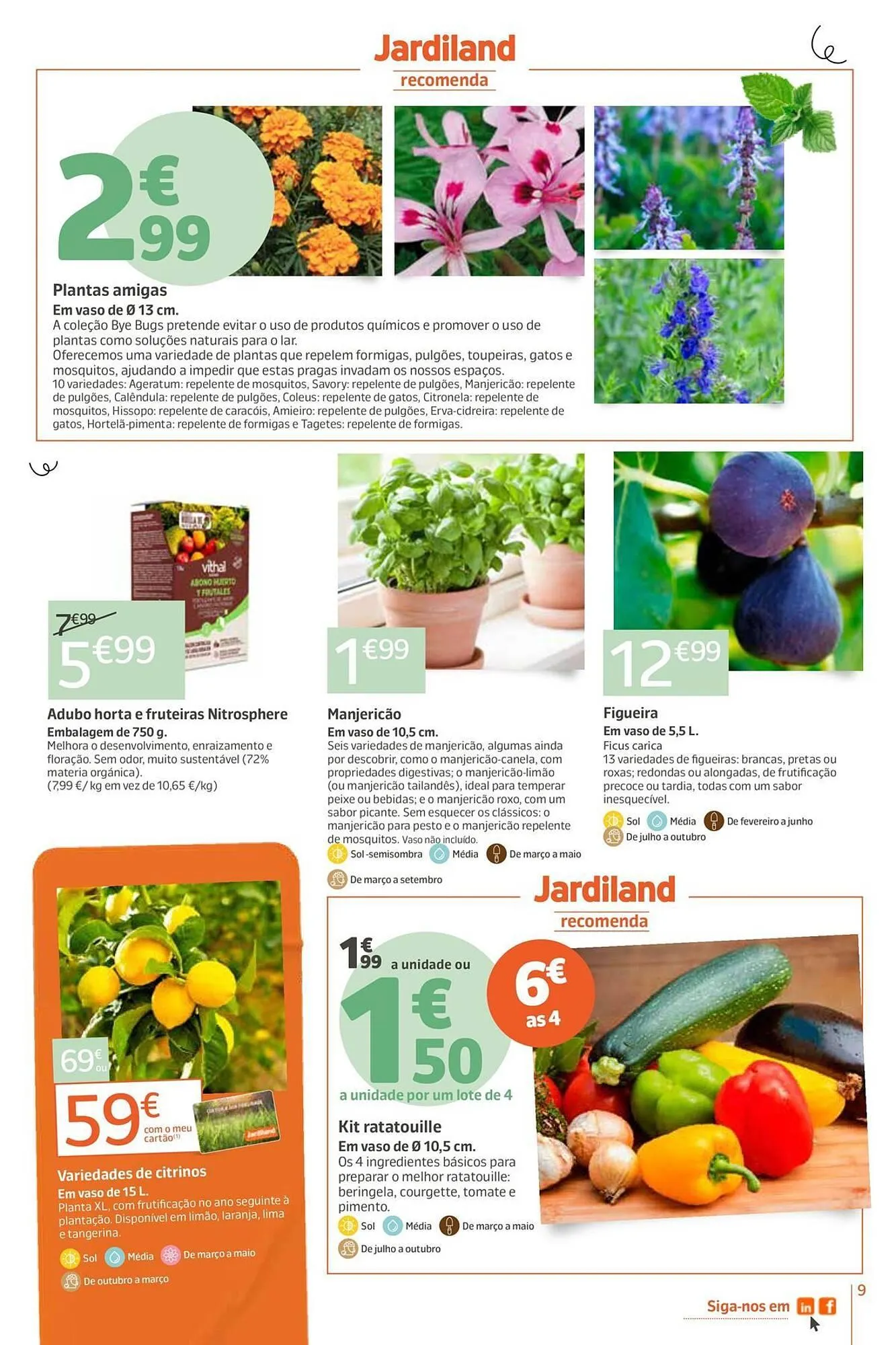 Folheto Catálogo Jardiland de 23 de abril até 3 de maio 2026 - Pagina 9