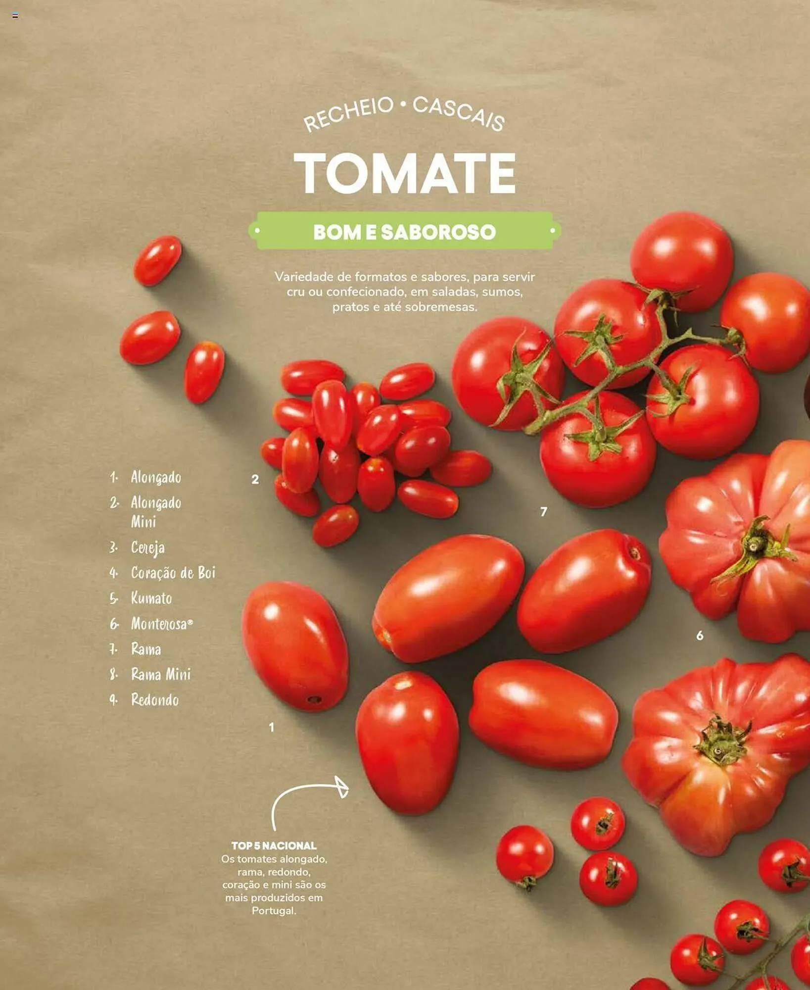 Folheto Folheto Recheio de 19 de setembro até 31 de dezembro 2025 - Pagina 14