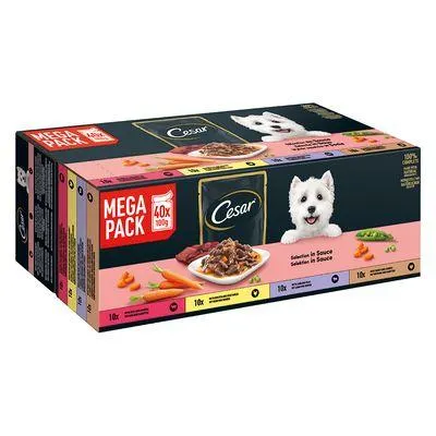 Cesar 80 x 100 g comida húmida para cães em promoção: 60 + 20 grátis!