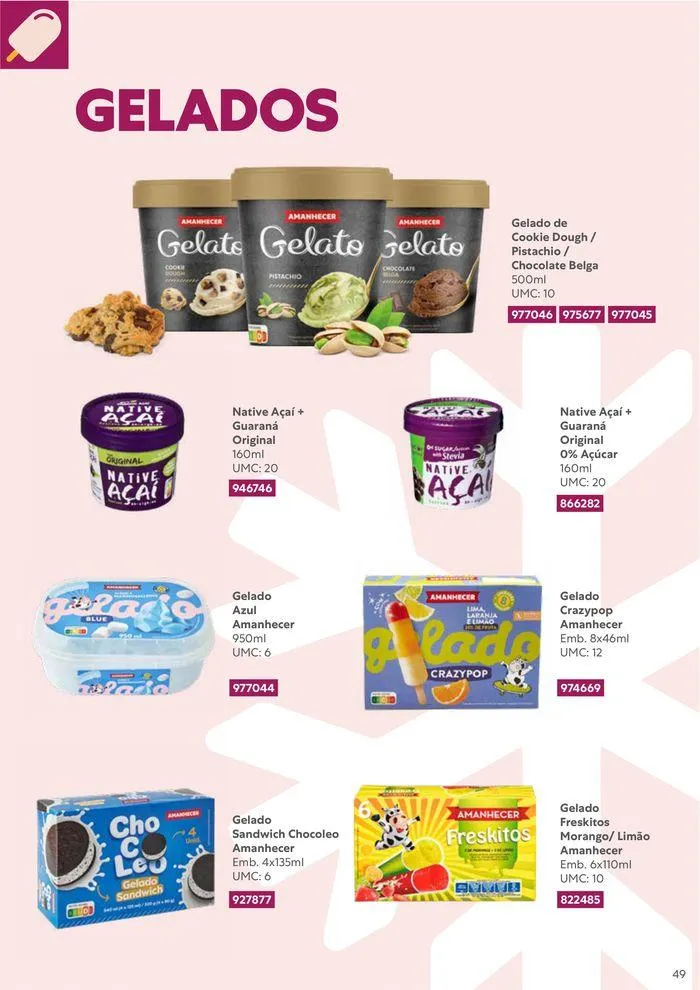Folheto Recheio Congelados de 20 de agosto até 31 de dezembro 2024 - Pagina 49