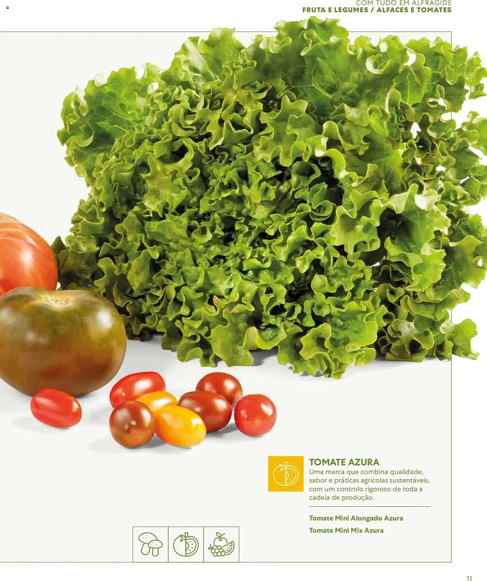 Folheto Folheto Recheio de 16 de março até 1 de janeiro 2027 - Pagina 11