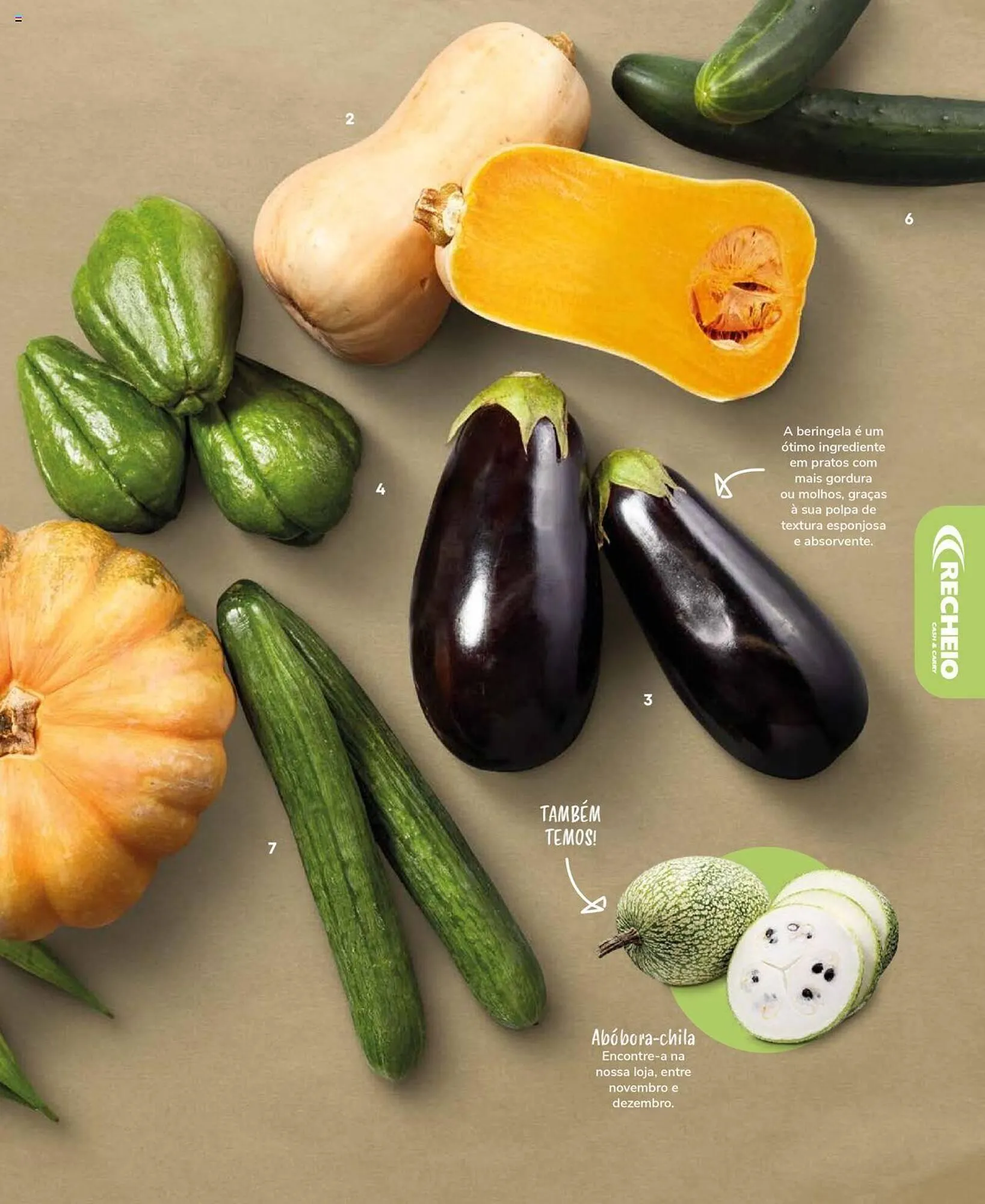 Folheto Folheto Recheio de 19 de setembro até 31 de dezembro 2025 - Pagina 17