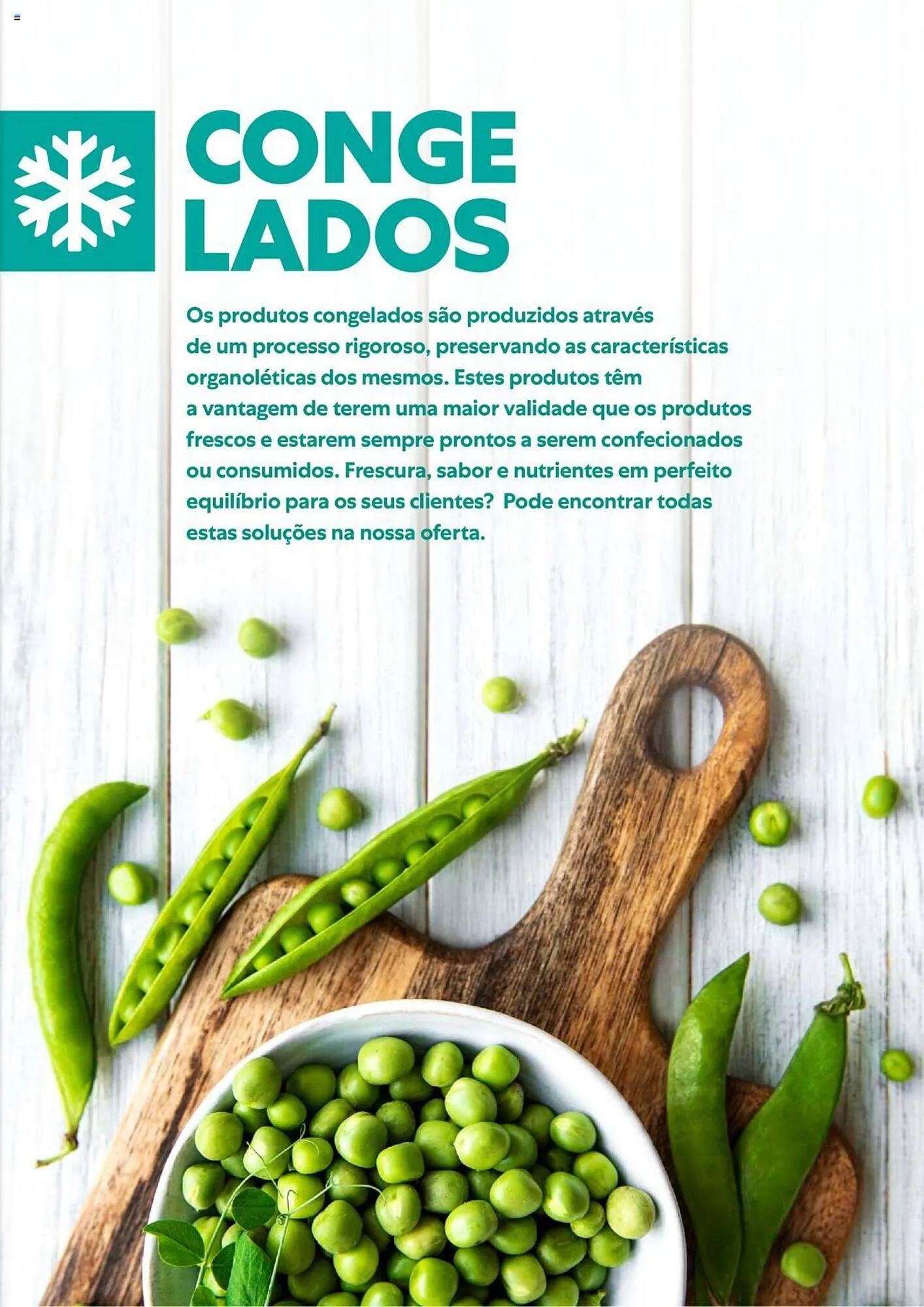 Folheto Folheto Recheio de 1 de fevereiro até 31 de dezembro 2024 - Pagina 17