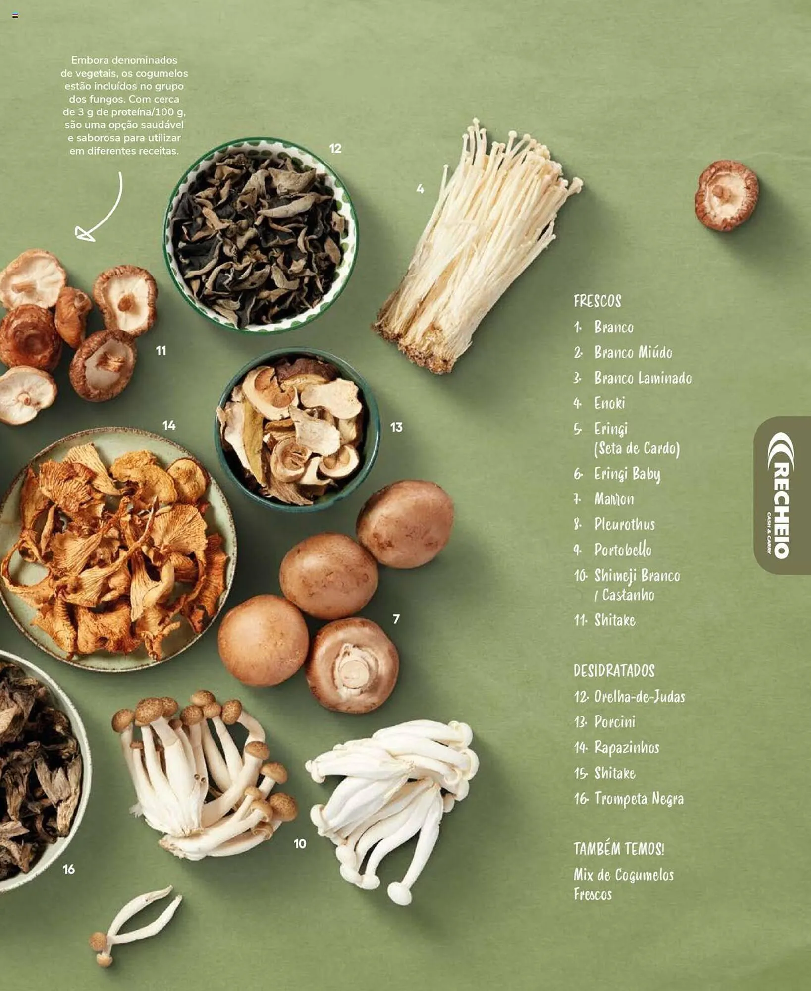 Folheto Folheto Recheio de 19 de setembro até 31 de dezembro 2025 - Pagina 45