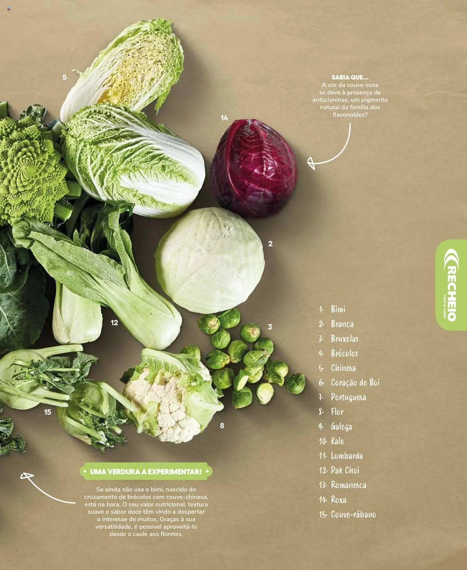 Folheto Folheto Recheio de 19 de setembro até 31 de dezembro 2025 - Pagina 11