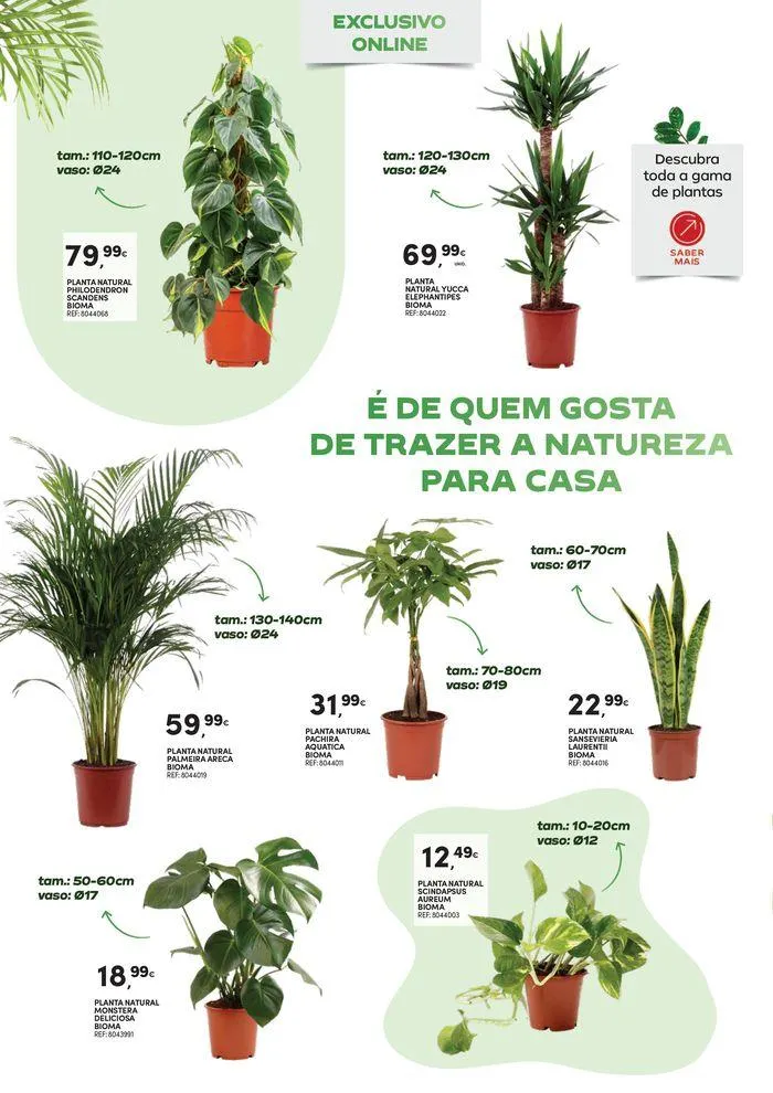 Folheto Extra Digital Ar Livre 2 de 25 de junho até 1 de setembro 2024 - Pagina 10