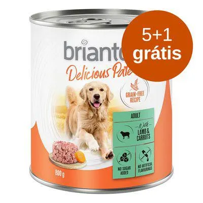 Briantos Delicious 6 x 800 g comida húmida em promoção: 5 + 1 grátis!