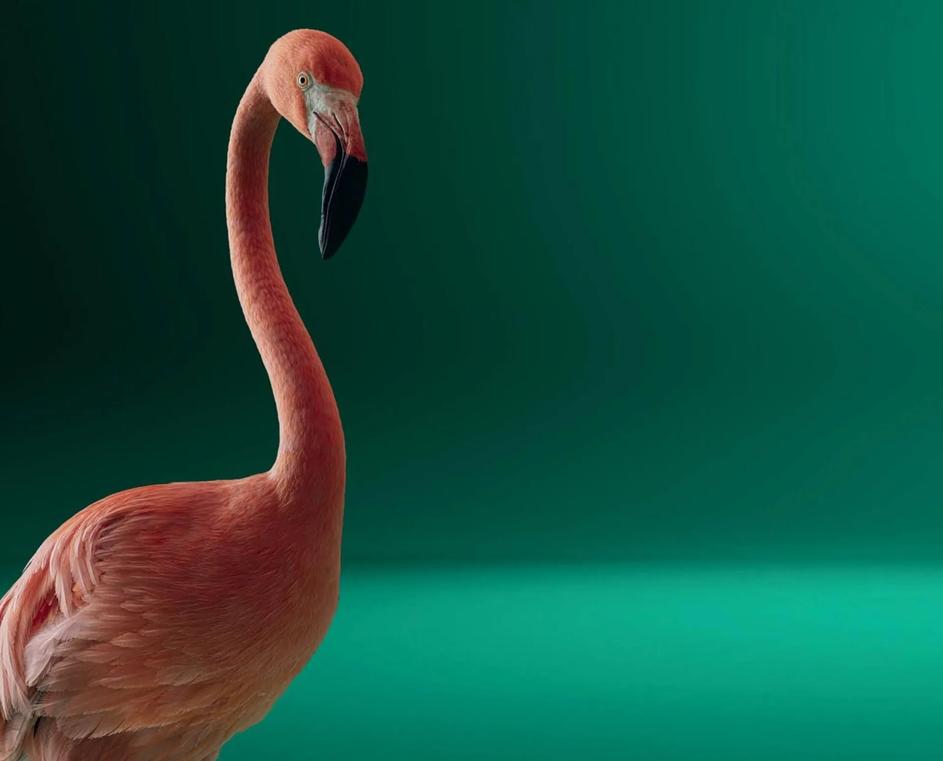 Folheto Folheto Škoda de 4 de fevereiro até 28 de fevereiro 2025 - Pagina 2