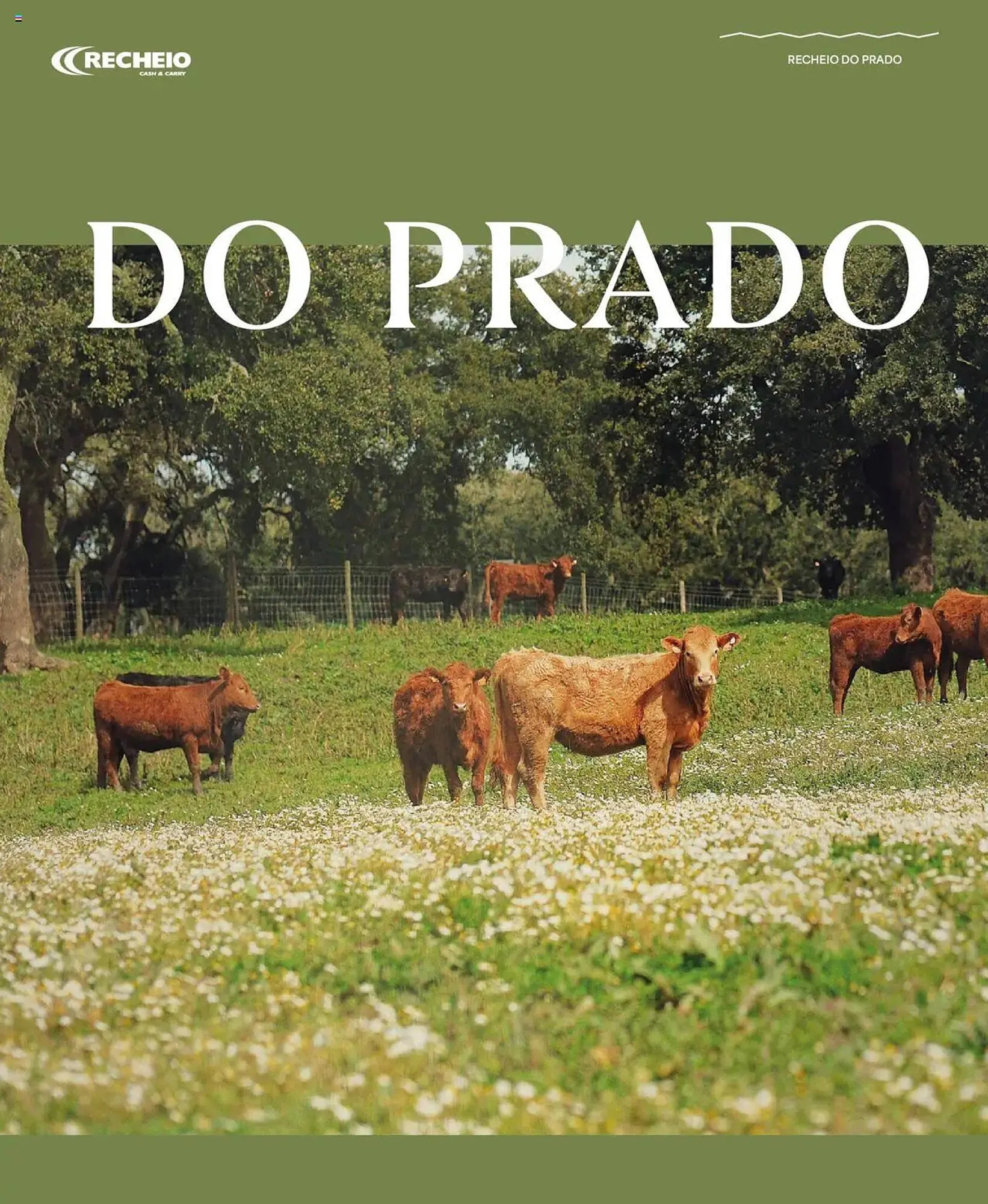 Folheto Folheto Recheio de 24 de abril até 31 de dezembro 2025 - Pagina 6