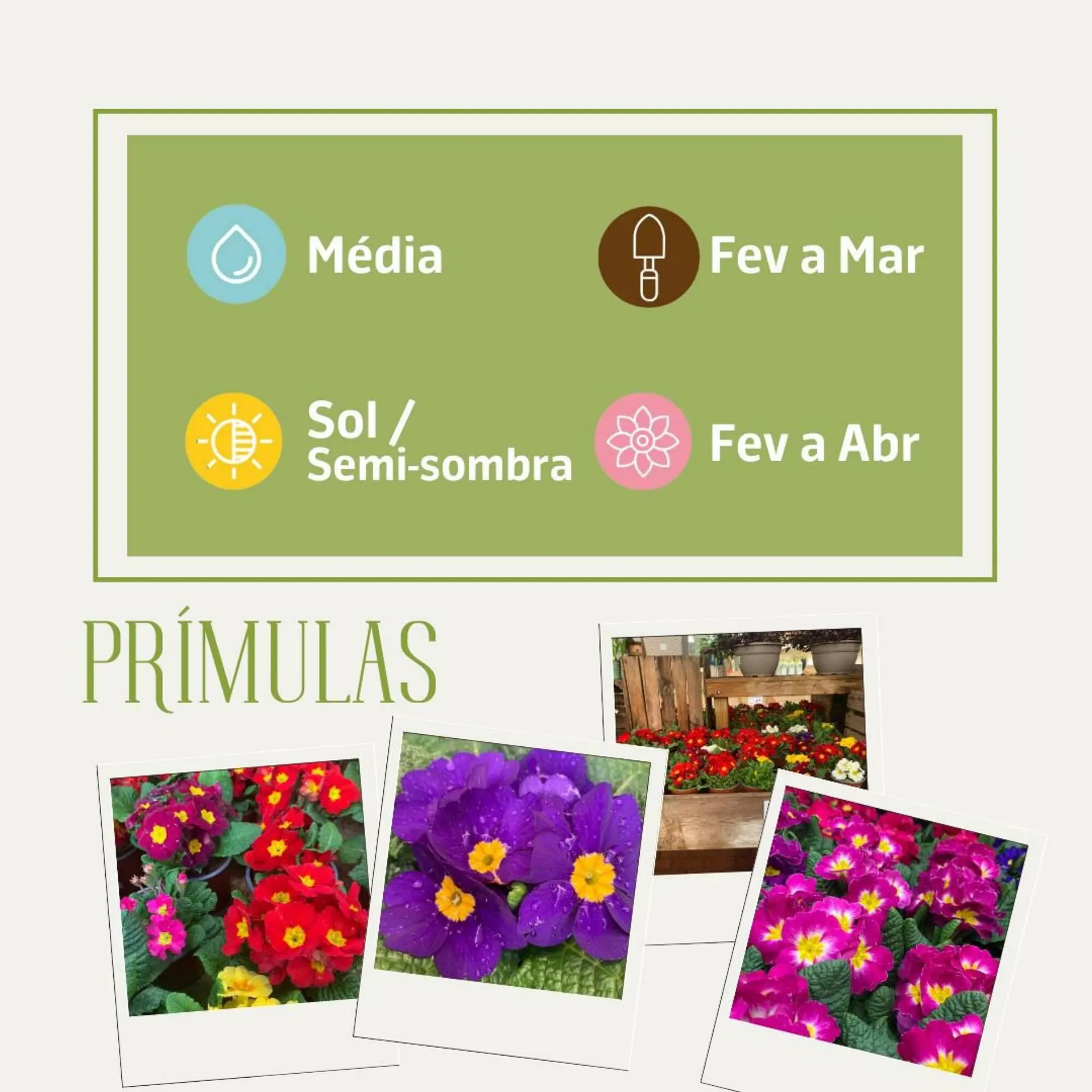 Folheto Folheto Jardiland de 21 de fevereiro até 10 de março 2024 - Pagina 2