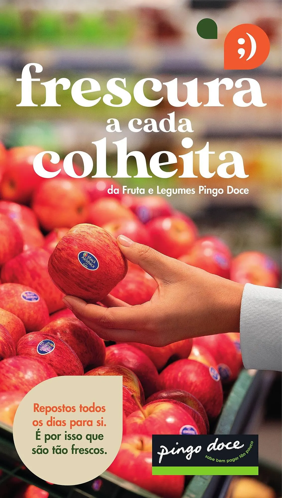 Folheto Folheto Pingo Doce de 20 de maio até 1 de janeiro 2026 - Pagina 1