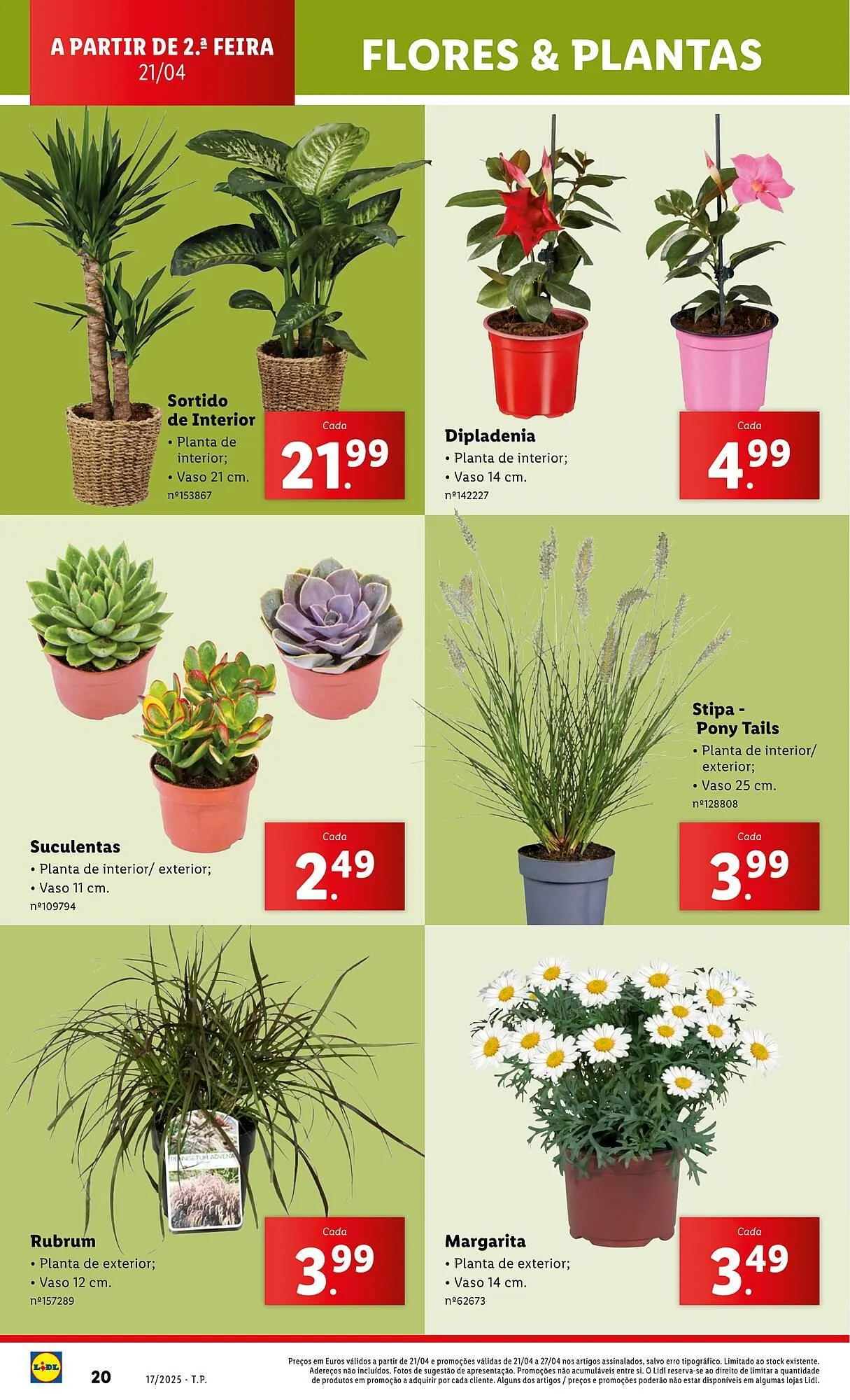 Folheto Folheto Lidl de 21 de abril até 27 de abril 2025 - Pagina 20