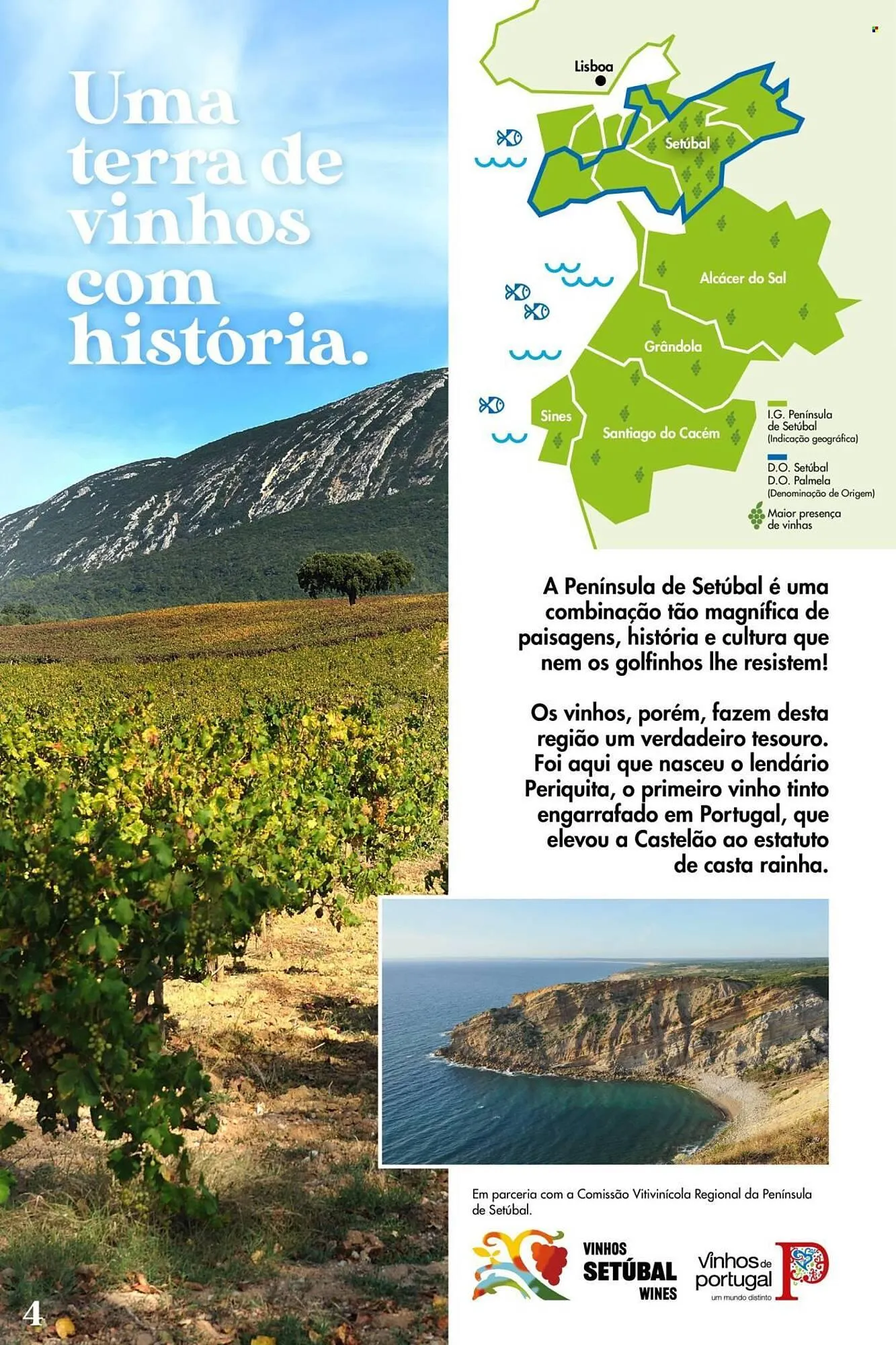 Folheto Folheto Pingo Doce de 6 de maio até 26 de maio 2025 - Pagina 4