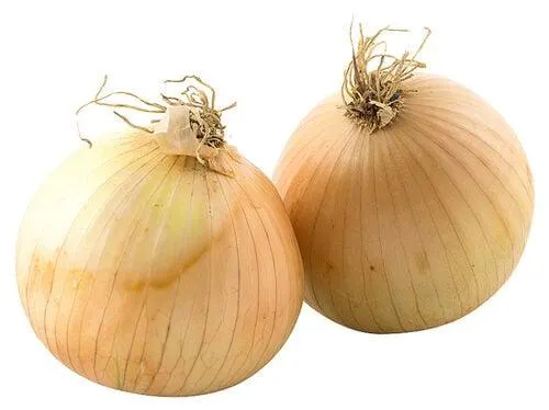 cebola kg produto local